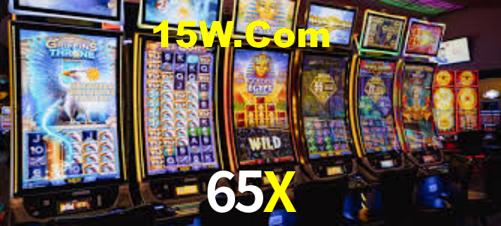 65X App Interface