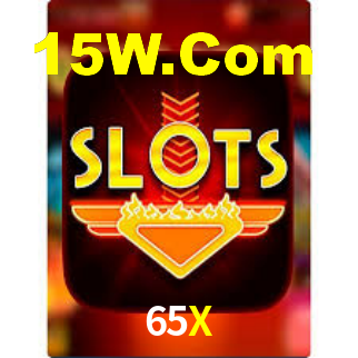 Premium Interface 65X